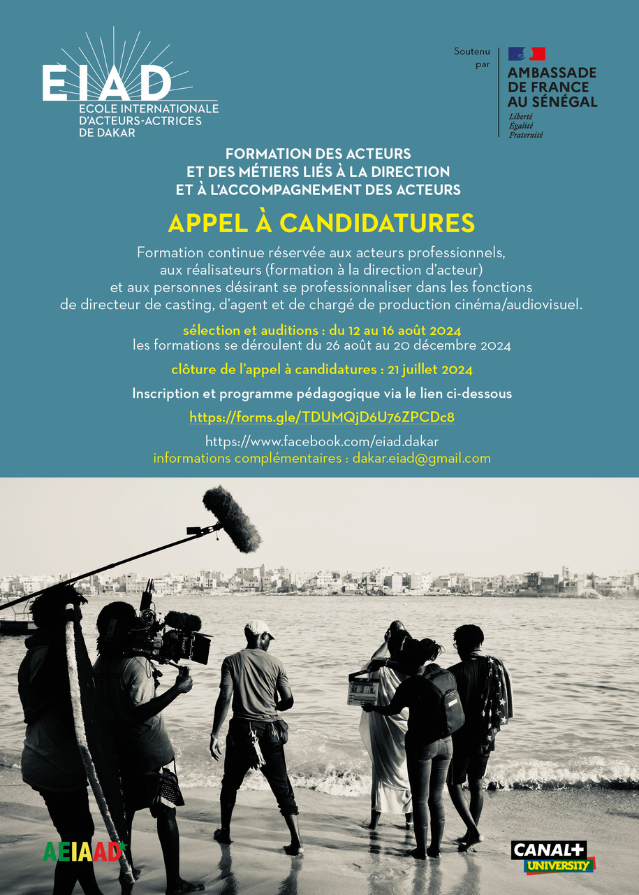 APPEL A CANDIDATURE EIAD FORMAT A5 N°1 VDEF