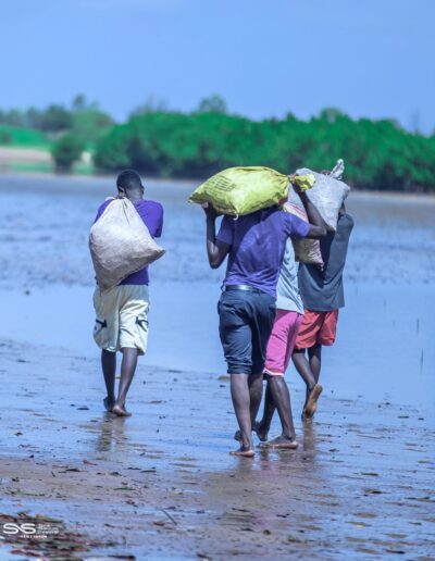 fb3c5aa5 cbbc 403a a81e facecced4902